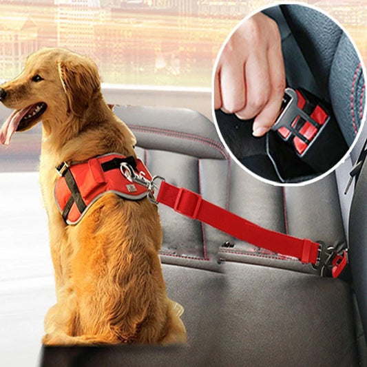 Verstelbare autogordel voor katten honden